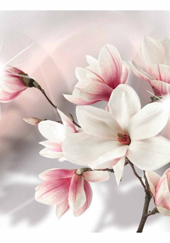 ARTGEIST White magnolias fototapet - hvid/lyserd/gr print (105x150)