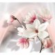 ARTGEIST White magnolias fototapet - hvid/lyserd/gr print (105x150)