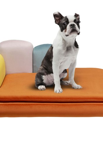 KARE DESIGN Diva Orange kat/hund seng - orange og multifarvet fljl polyester og stl