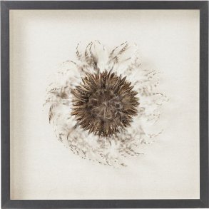 Kare Design rammer og billeder