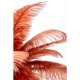 KARE DESIGN Feather Palm bordlampe - rustrd strudsefjer og messing stl