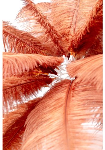 KARE DESIGN Feather Palm bordlampe - rustrd strudsefjer og messing stl