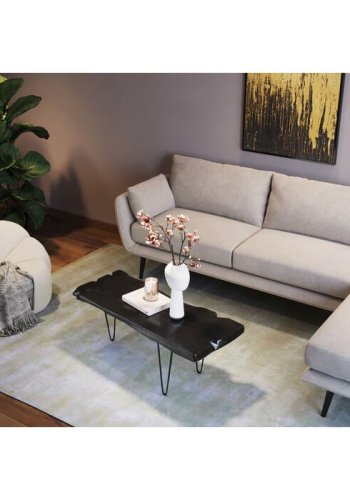 KARE DESIGN Aspen sofabord, organisk - sort teaktr og stl (100x40)