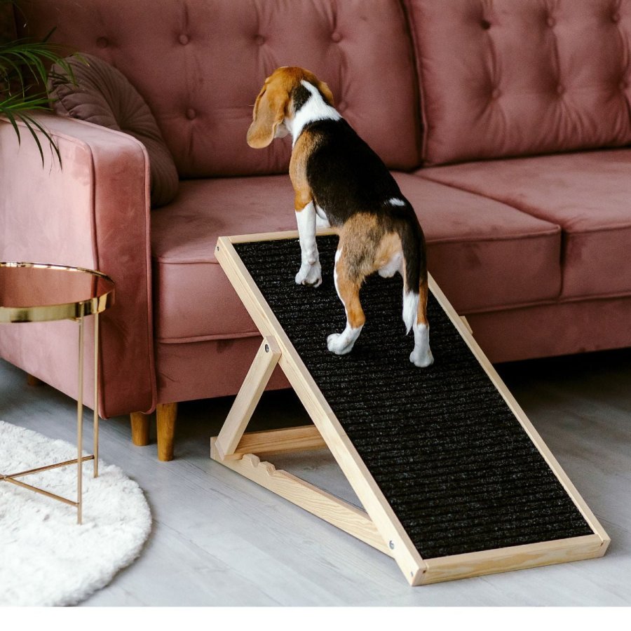 ANIMOOD Skipper rampe til hunde, justerbar i 4 hjder - natur fyrretr