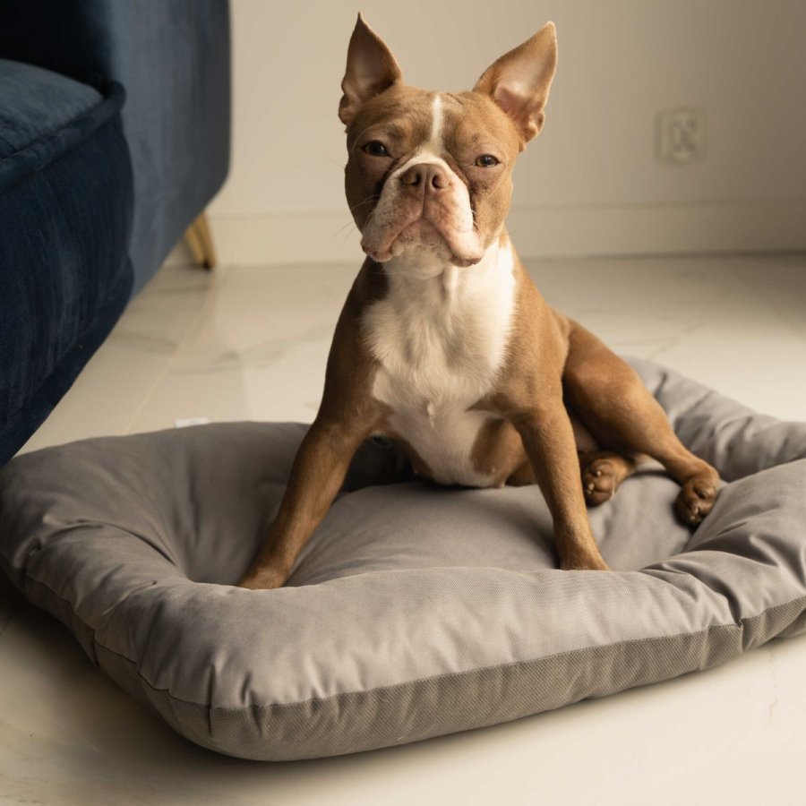 ANIMOOD Mort hundeseng, rektangulr - gr wigofil (73x53)