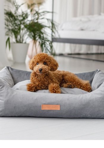 ANIMOOD Alex hundeseng, rektangulr - gr fljl stof (66x79)