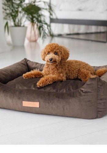 ANIMOOD Alex hundeseng, rektangulr - brun fljl stof (69x90)