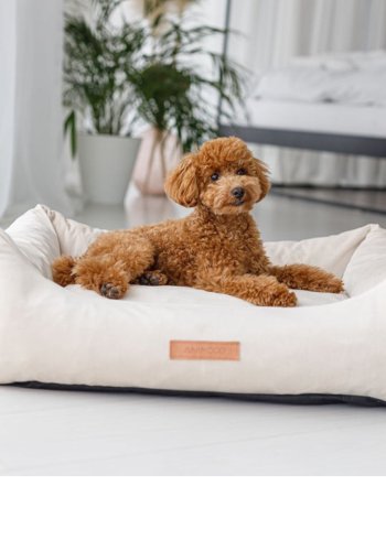 ANIMOOD Alex hundeseng, rektangulr - beige fljl stof (66x79)