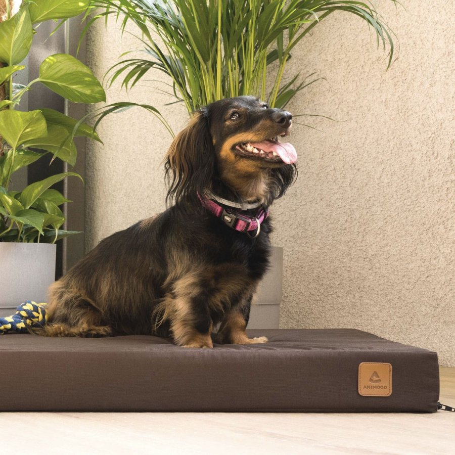 ANIMOOD Melman ortopdisk hundeseng, rektangulr - brun wigofil (122x76)