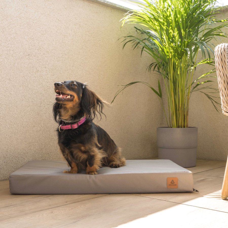 ANIMOOD Melman ortopdisk hundeseng, rektangulr - gr wigofil (90x56)