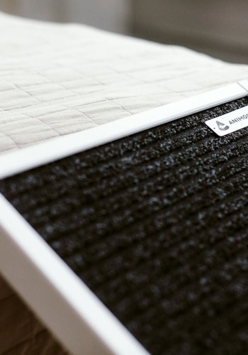 ANIMOOD Skipper rampe til hunde, justerbar i 4 hjder - hvid fyrretr