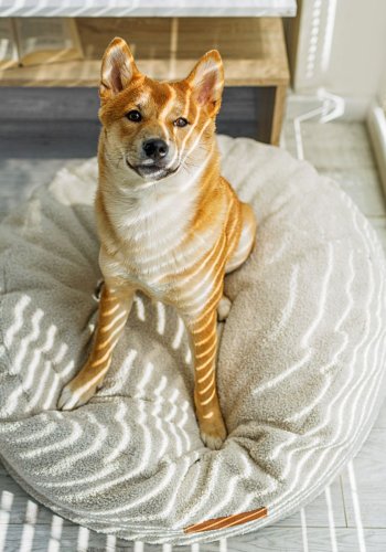 ANIMOOD Coco puf til kledyr, rund - lys beige genbrugt Bouclé stof (67)