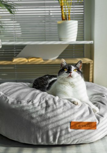 ANIMOOD Molly puf til kledyr, rund - lysegr fljl stof (67)