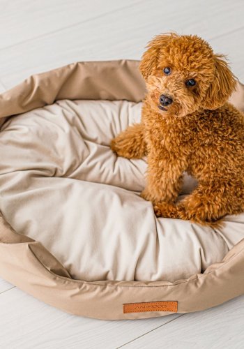 ANIMOOD Mia hundeseng, oval - beige fljl stof (62x51)