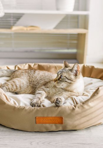 ANIMOOD Mia hundeseng, oval - beige fljl stof (72x61)