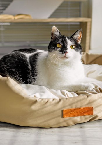 ANIMOOD Mia hundeseng, oval - beige fljl stof (72x61)