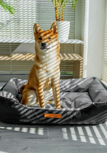 ANIMOOD Milo quiltet hundeseng, rektangulr - gr og wigofil stof (76x60)