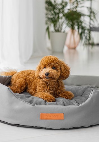 ANIMOOD Mia hundeseng, oval - gr fljl stof (72x61)