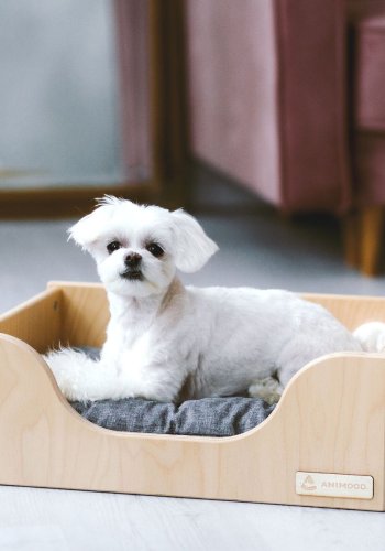 ANIMOOD Marti hundeseng, m. lysegr pude - natur krydsfinér tr (49x35)