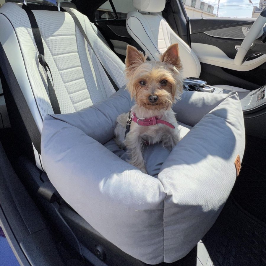 ANIMOOD Julian autosde til kledyr, rektangulr - gr (56x51)