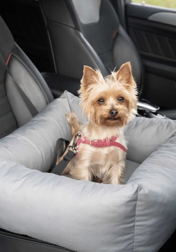 ANIMOOD Julian autosde til kledyr, rektangulr - gr (56x51)