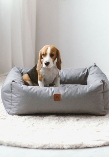 ANIMOOD Maurice hundeseng, rektangulr - gr og wigofil (80x71)