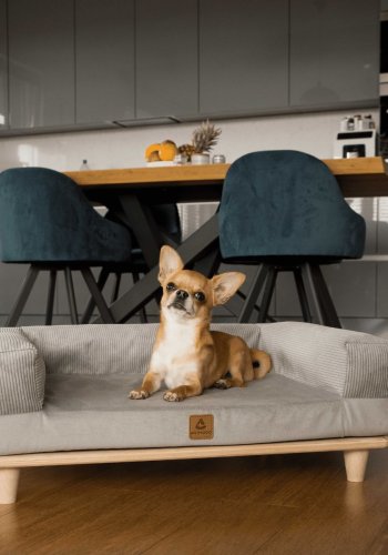 ANIMOOD Sonya sofa til kledyr, rektangulr - gr fljl og fyrretr (67x53)