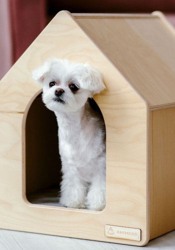 ANIMOOD Rico hundehus, m. velourpude, rektangulr - natur krydsfinér tr (48x40)