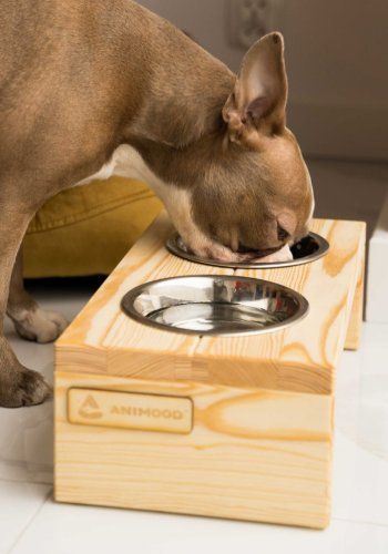 ANIMOOD Gloria stander til hundeskle, m. skle i rustfrit stl - natur fyrretr (36x12)