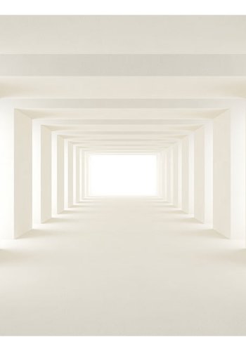 ARTGEIST Fototapet af gang i 3D-effekt - Into the Light (flere strrelser)