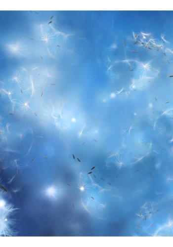 ARTGEIST fototapet - Magic of Nature, fortryllende mlkebtte (flere strrelser)