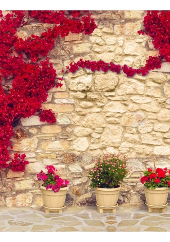 ARTGEIST fototapet - Warm afternoon, r murstensvg med smukke, rde blomster (flere strrelser)