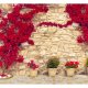 ARTGEIST fototapet - Warm afternoon, r murstensvg med smukke, rde blomster (flere strrelser)