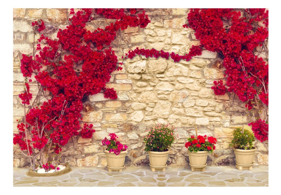 ARTGEIST fototapet - Warm afternoon, r murstensvg med smukke, rde blomster (flere strrelser)