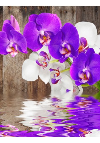 ARTGEIST fototapet - Connection smuk orkidé med idyllisk vand (flere strrelser)
