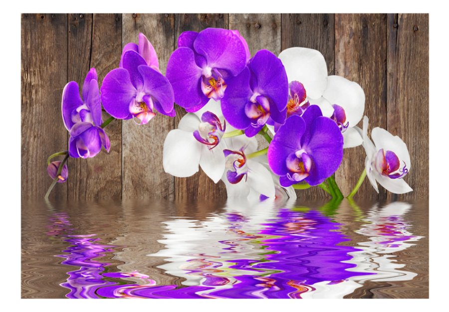 ARTGEIST fototapet - Connection smuk orkidé med idyllisk vand (flere strrelser)