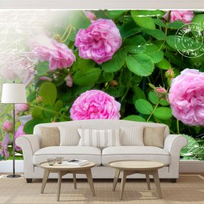 ARTGEIST - Fototapet med flotte lyserde blomster - Flere strrelser
