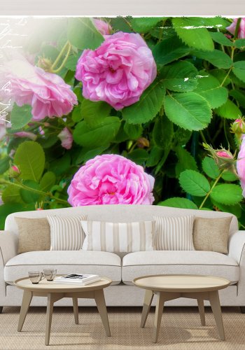 ARTGEIST - Fototapet med flotte lyserde blomster - Flere strrelser