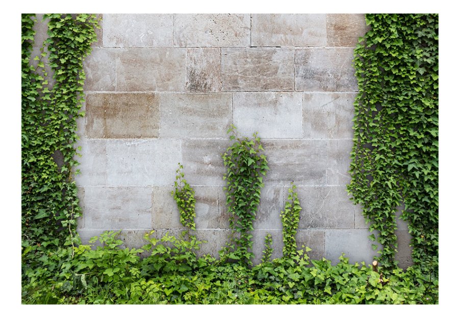 ARTGEIST fototapet - The Forgotten Garden rustik mur med grnne blade (flere strrelser)
