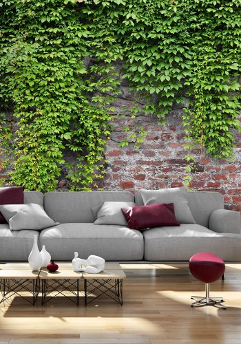 ARTGEIST fototapet - Brick and ivy, rt musten med friske grnne blade (flere strrelser)