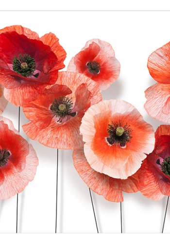 ARTGEIST - Fototapet med 9 rde valmuer p hvid baggrund - Flere strrelser