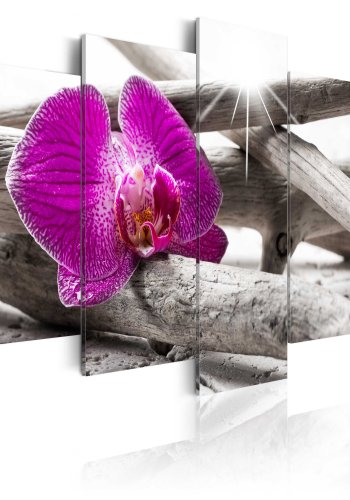 ARTGEIST Orchid on beach - Billede af magenta orkidé trykt p lrred - Flere strrelser