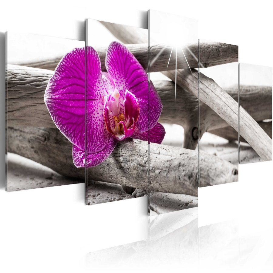 ARTGEIST Orchid on beach - Billede af magenta orkidé trykt p lrred - Flere strrelser