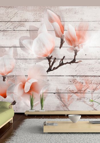 ARTGEIST fototapet - Subtlety of the Magnoli, smuk blomst i blde farver (flere strrelser9)