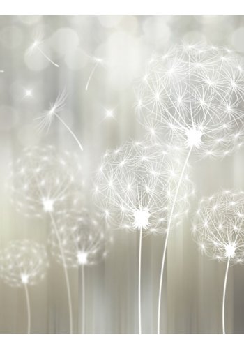 ARTGEIST fototapet - Gift of the Sun, idyllisk mlkebtte (flere strrelser)