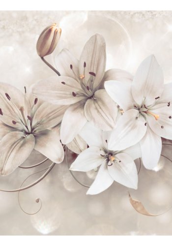 ARTGEIST fototapet - Diamond Lilies, smukke liljjer i hvide nuancer (flere strrelser)