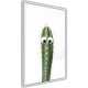 ARTGEIST Plakat med ramme - Funny Cactus I