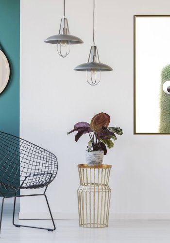 ARTGEIST Plakat med ramme - Funny Cactus IV