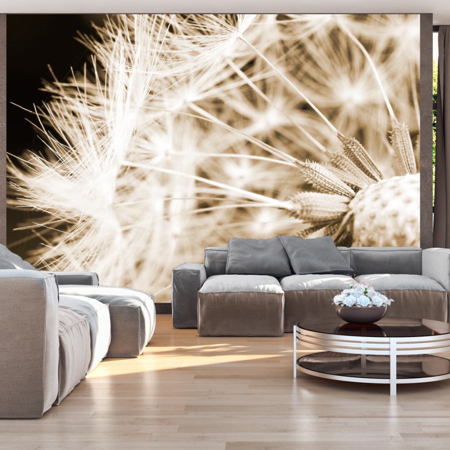 ARTGEIST fototapet - Dandelion - sepia, nrbillede af mlkebtte (flere strrelser)