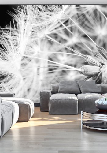 ARTGEIST fototapet - Dandelion, nrbillede af mlkebtte i sort/hvid (flere strrelser)